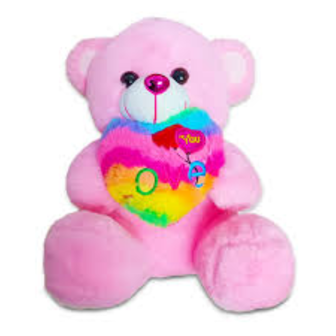 SOFT TEDDY W PRINTED HEART VT01-30